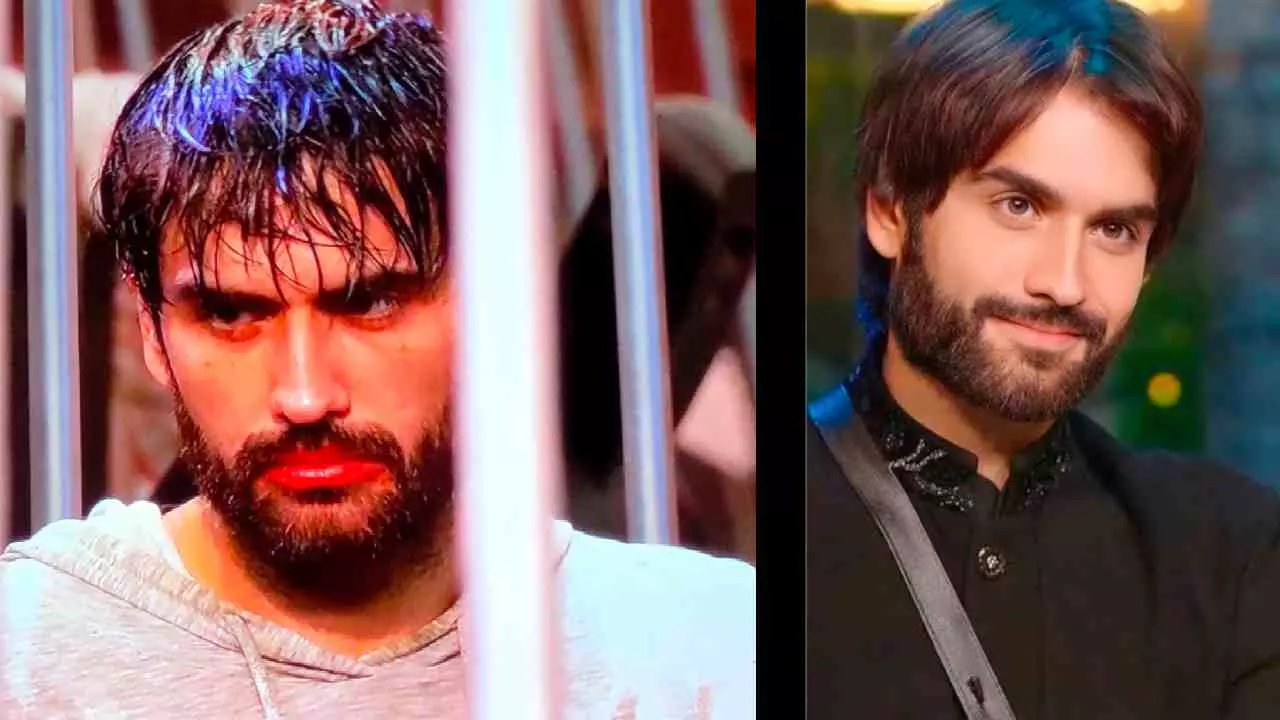 Vivian Dsena Viral Video