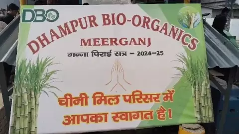 Bareilly News : मीरगंज शुगर मिल ने दस नवंबर तक के गन्ने का किसानों को किया भुगतान Bareilly News : मीरगंज शुगर मिल ने दस नवंबर तक के गन्ने का किसानों को किया भुगतान