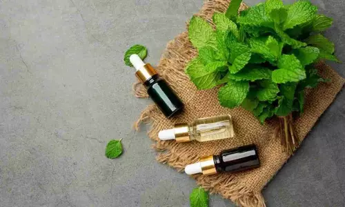 Peppermint oil for Dandruff: सर्दी शुरू होते ही डैंड्रफ ने कर दिया है परेशान, जानें कैसे पाएं इससे निजात