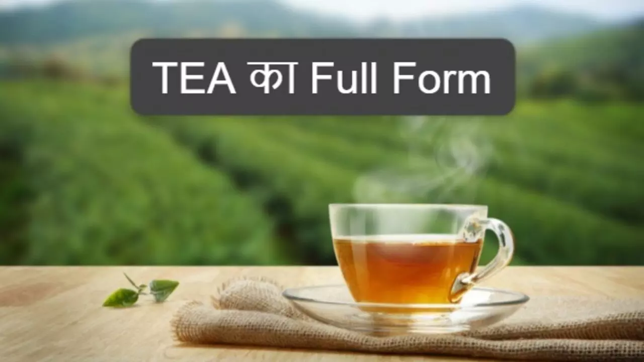 TEA, NEWS, GOOGLE, AM/PM... रोजाना बोले जाने वाले इन शब्दों  के Full forms जानते हैं आप?