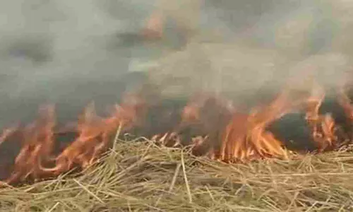 Maharajganj News: पराली जलाने पर 586 किसानों की प्रधानमंत्री किसान सम्मान निधि रोकी