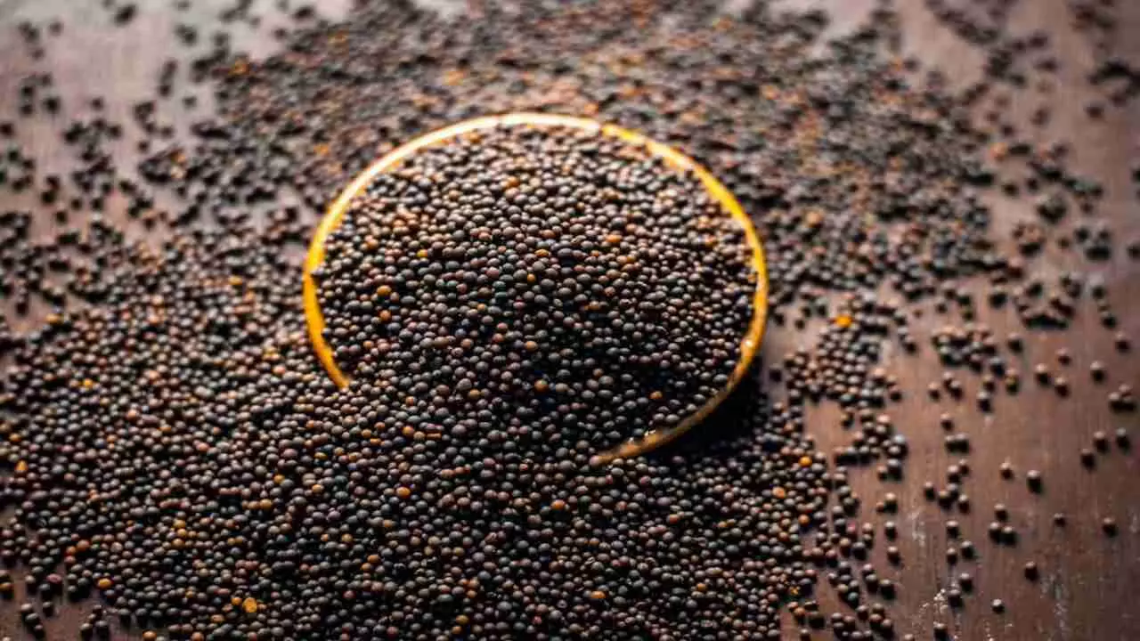 Mustard seeds Benefits