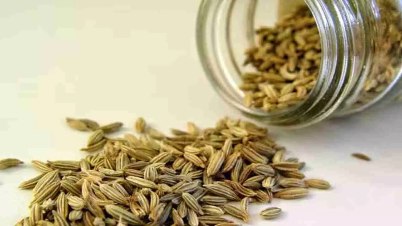 Benefits of Fennel