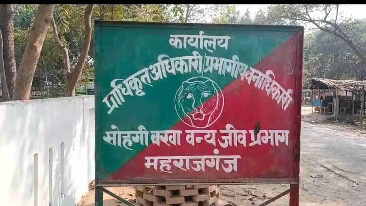 Sohagibarwa forest division