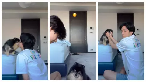 Yeontan : बीटीएस आर्मी के पालतू कुत्ते येओन्टन का निधन, जानिए सिंगर ने क्या कहा? Yeontan : बीटीएस आर्मी के पालतू कुत्ते येओन्टन का निधन, जानिए सिंगर ने क्या कहा?