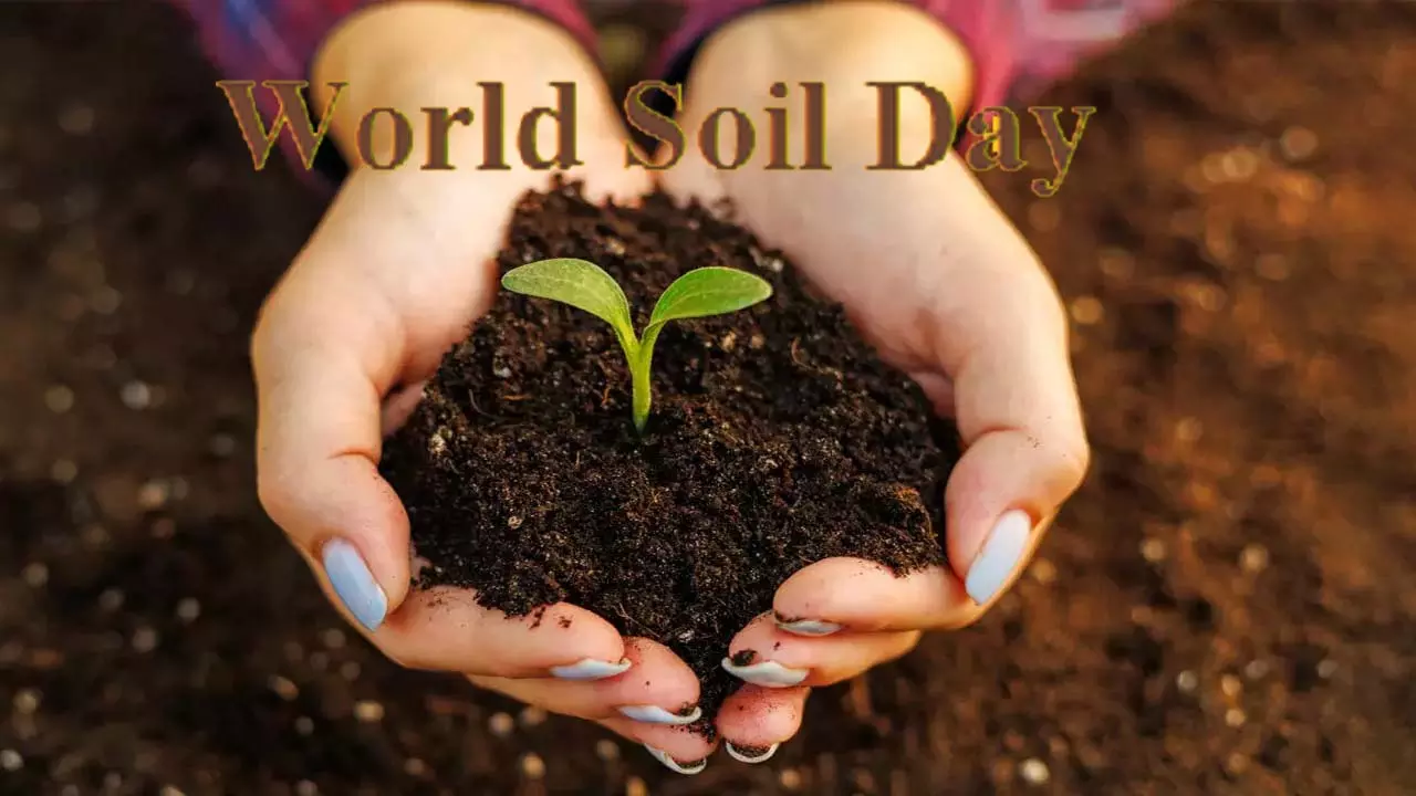 World Soil Day History Hindi