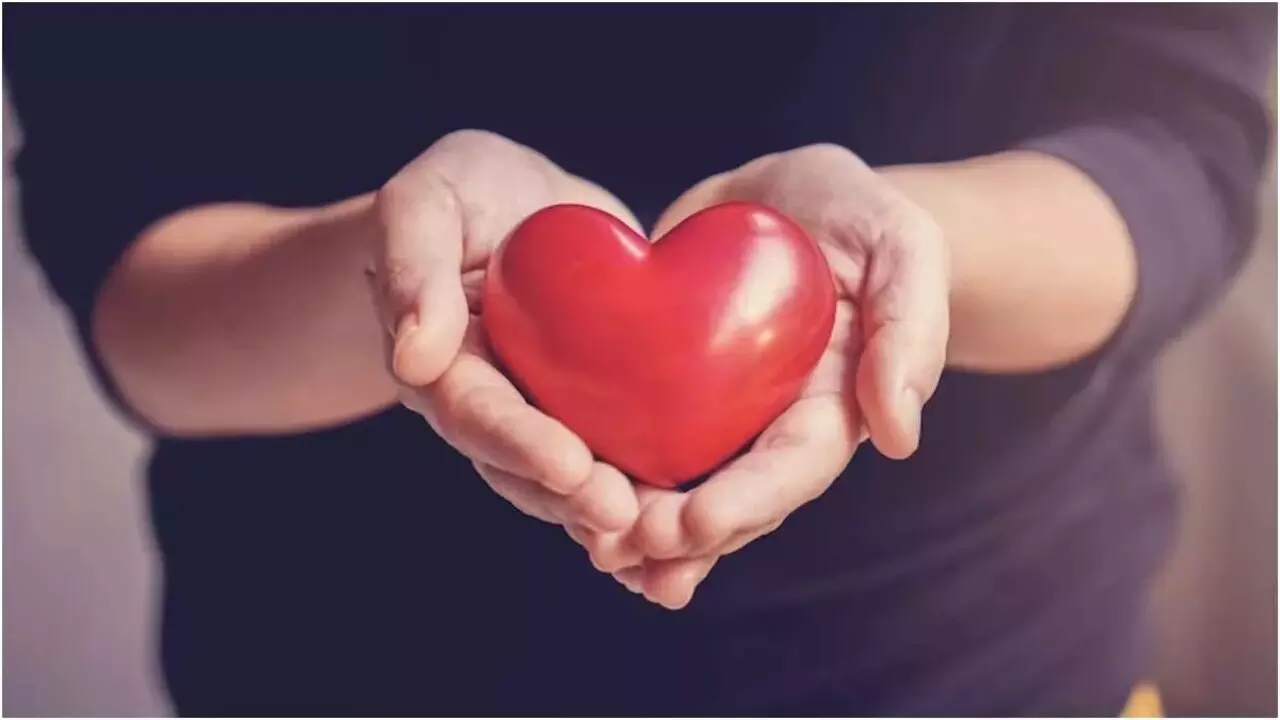 Heart Care Tips: ठंडियों में हार्ट अटैक का रहता है ज्यादा खतरा, जान लें दिल की देखभाल करने के तरीके