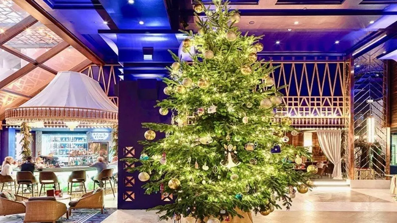 Christmas Trees With Guinness World Record: अनगिनत गिनीज वर्ल्ड रिकॉर्ड हासिल कर चुके हैं हीरे जवाहरातों से सजे ये क्रिसमिस ट्री