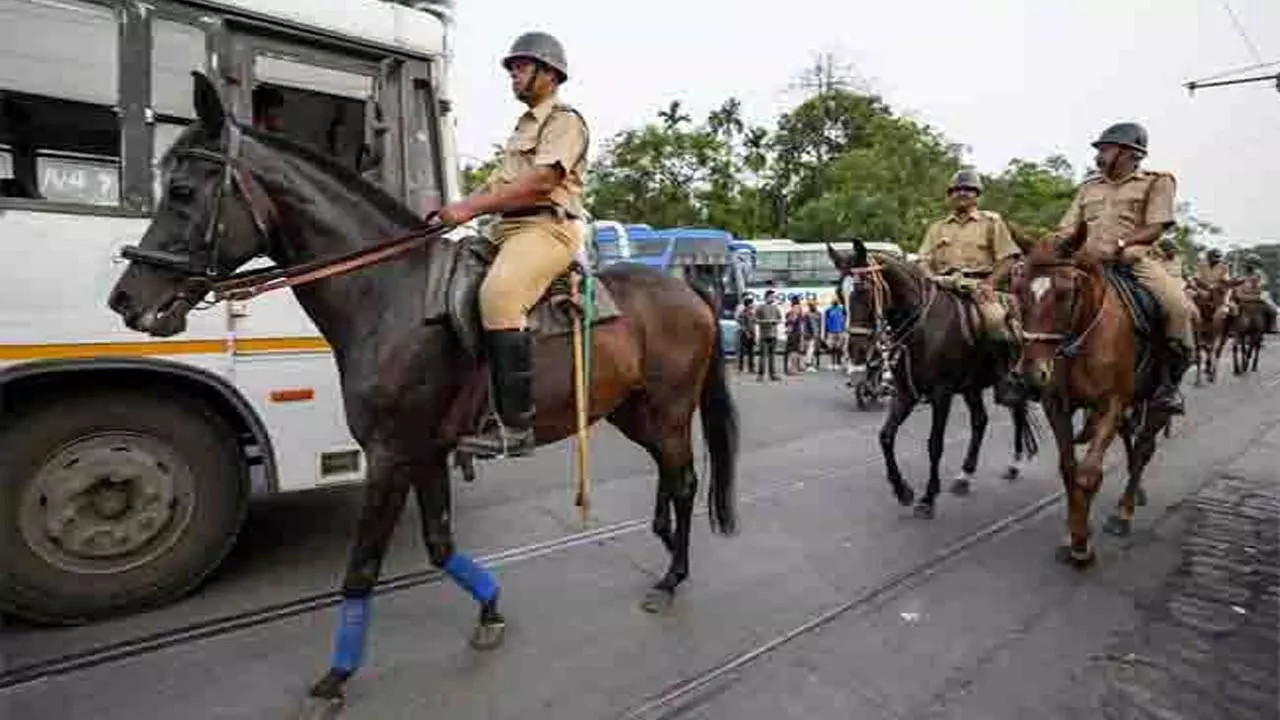 Mounted Police, Indo, Uk will have 130 horses of US breed to be deployed for crowd control in Mahakumbh