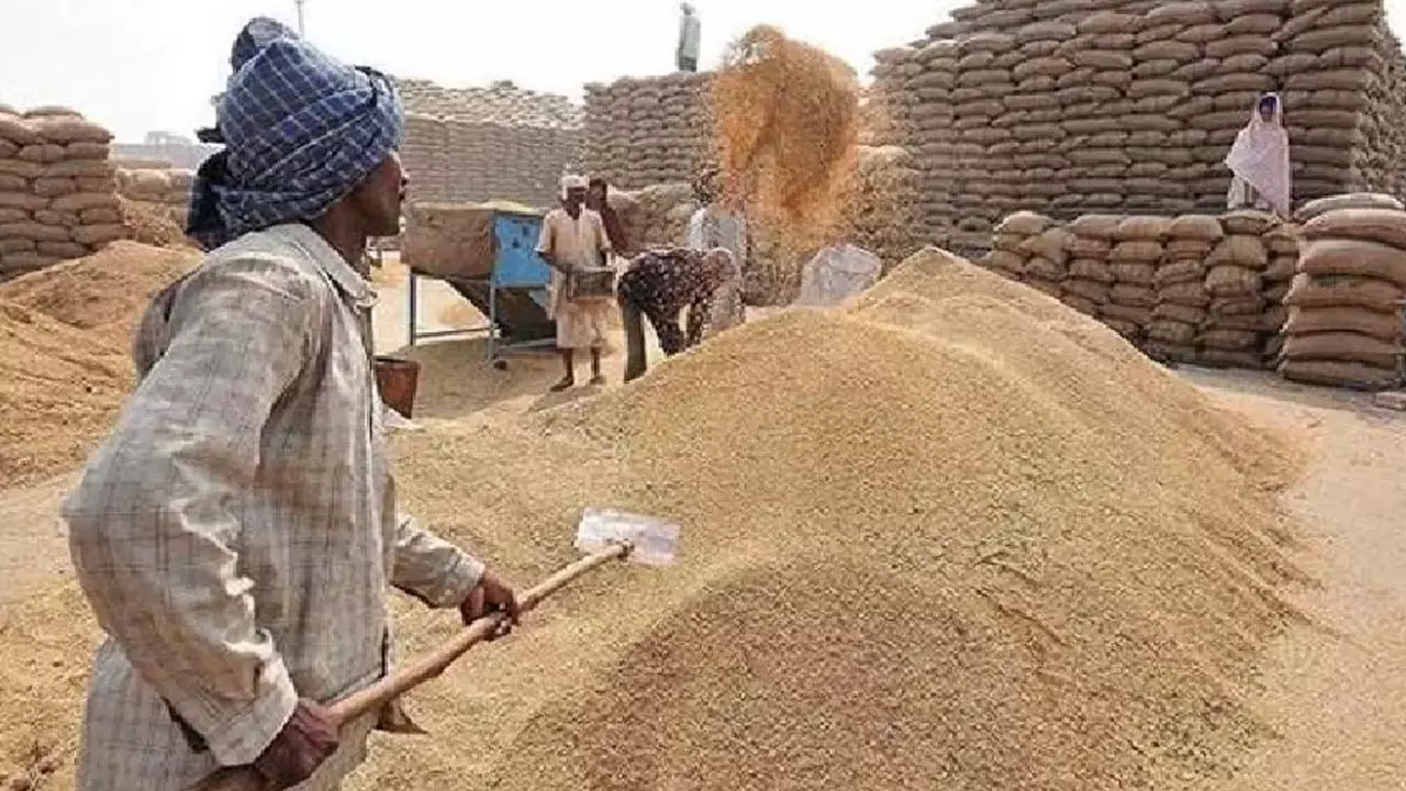 Paddy procurement malfunction, recovery-threat allegations against Bhakiyu state vice president, Case Registered