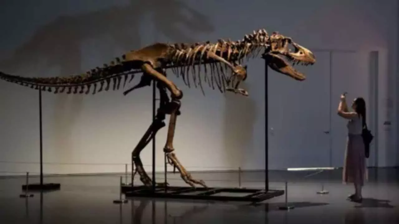 Duniya Ka Pahla Dinosaur