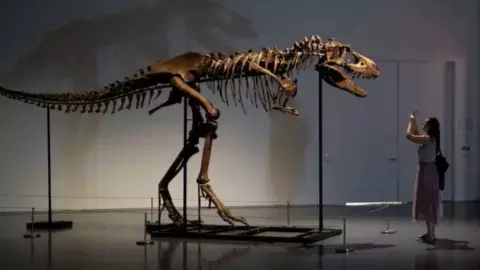 Duniya Ka Pahla Dinosaur Duniya Ka Pahla Dinosaur