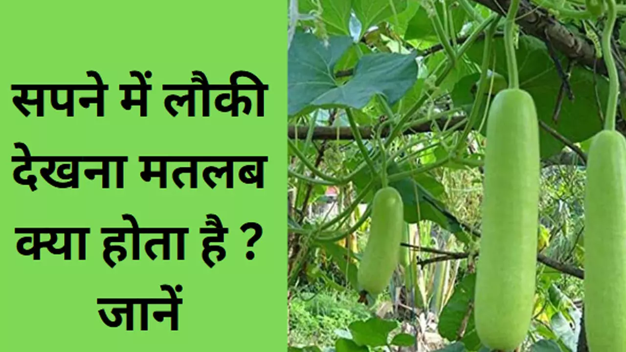 Lauki ka Sapna Dekhna: सपने में लौकी देखने का मतलब क्या होता है,  जानिए अच्छा और बुरा संकेत क्या कहता है यह सपना