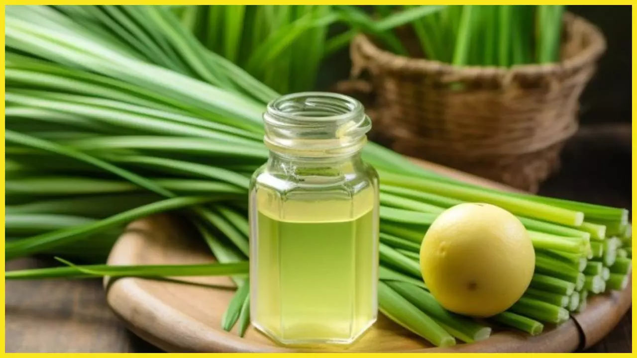 Lemongrass Oil Ke Fayde Or Nuksan Kya Hai