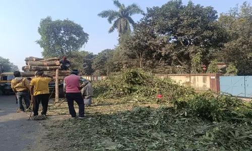 Gorakhpur News: सीएम सिटी गोरखपुर में सात साल में लगे 2.75 करोड़ पौधे, वन क्षेत्र घट गया 4.51 वर्ग मीटर, है न आश्चर्य