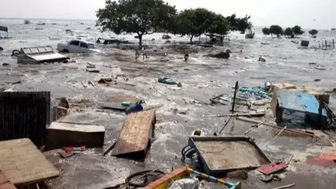 20 Years of Tsunami