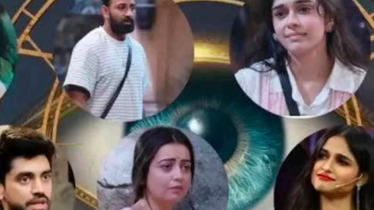 Bigg Boss 18 Nominated Contestants This Week