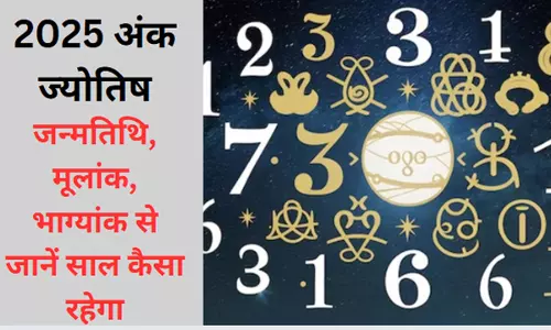 2025 Numerology Predictions: 9 अंक का साल किसके लिए होगा धमाल, किसके साथ बवाल, जानें जन्मांक से किसको मिलेगी सफलता