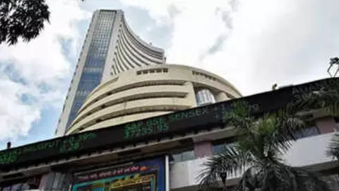Share Market 2025