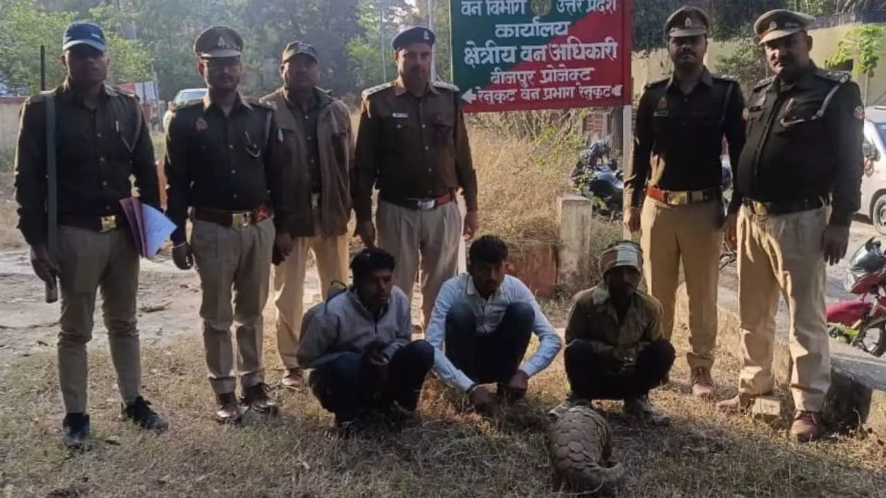 Sonbhadra Police Arrested Smuggling Endangered Pangolin