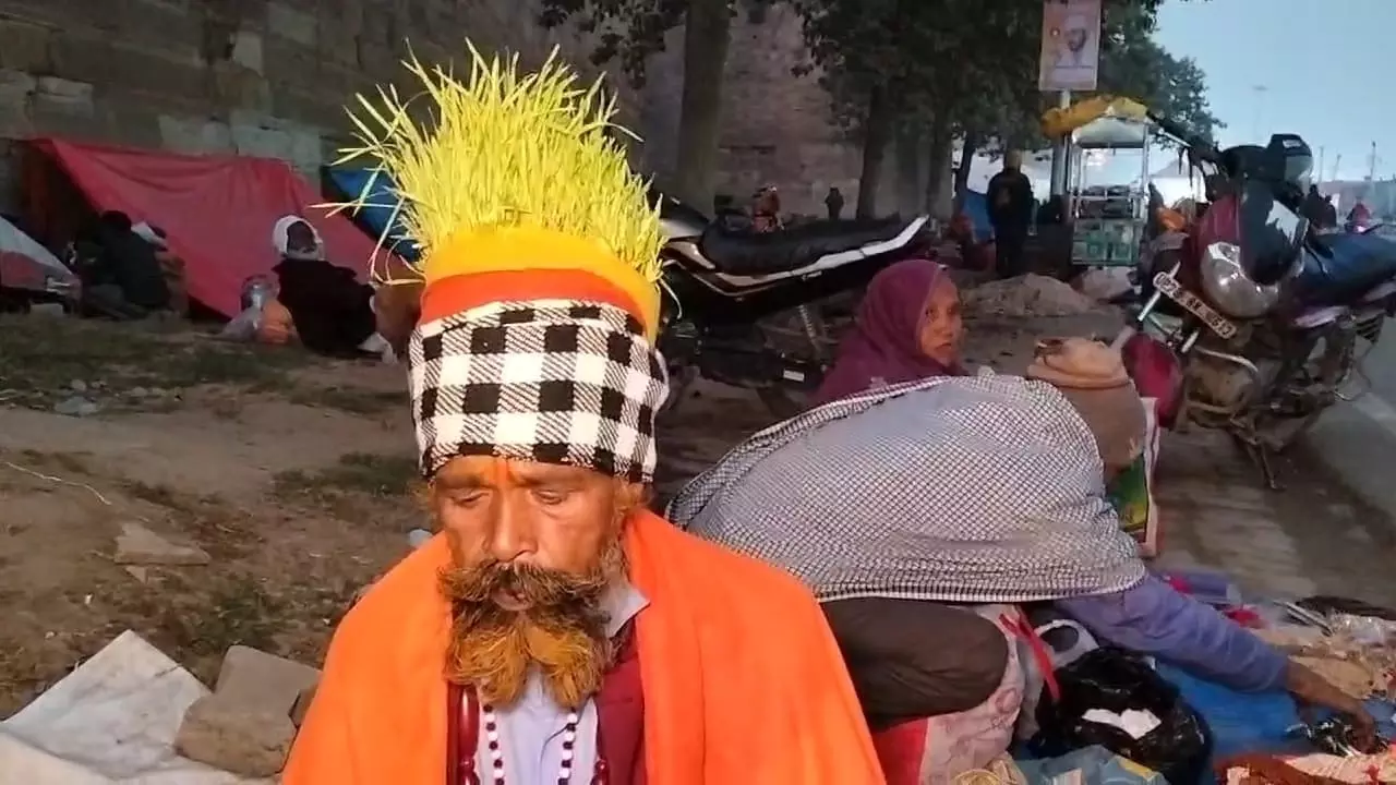 Maha Kumbh 2025: महाकुंभ में अनोखे बाबा, सिर पर उगाई फसल, गेहूं बाजरा और चना की कर रहे खेती