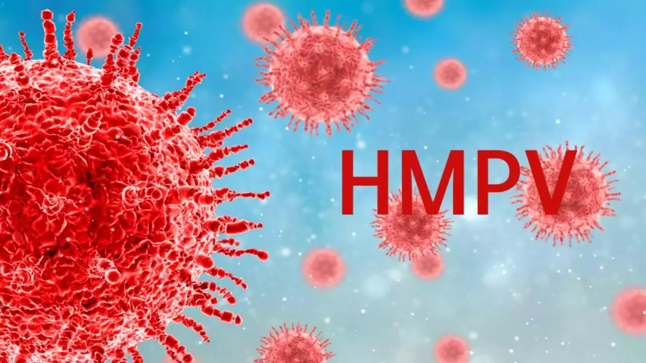 HMPV Virus