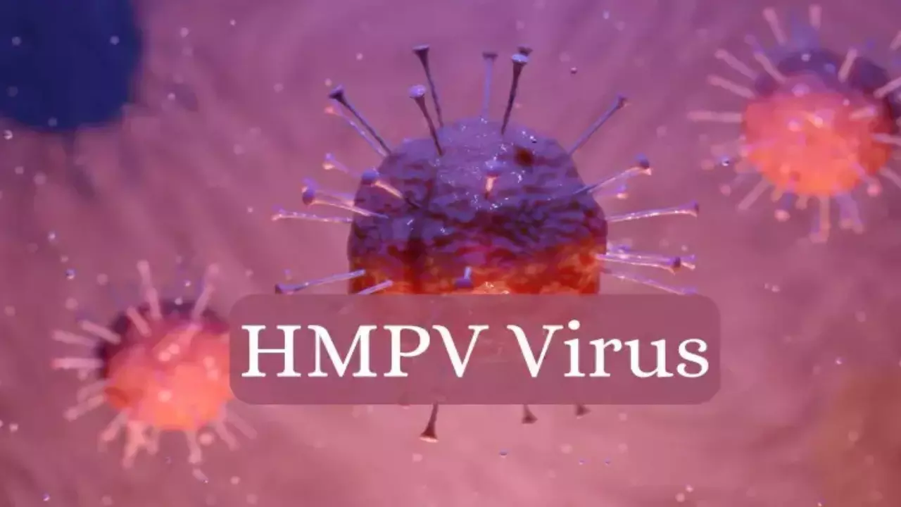 hmpv virus