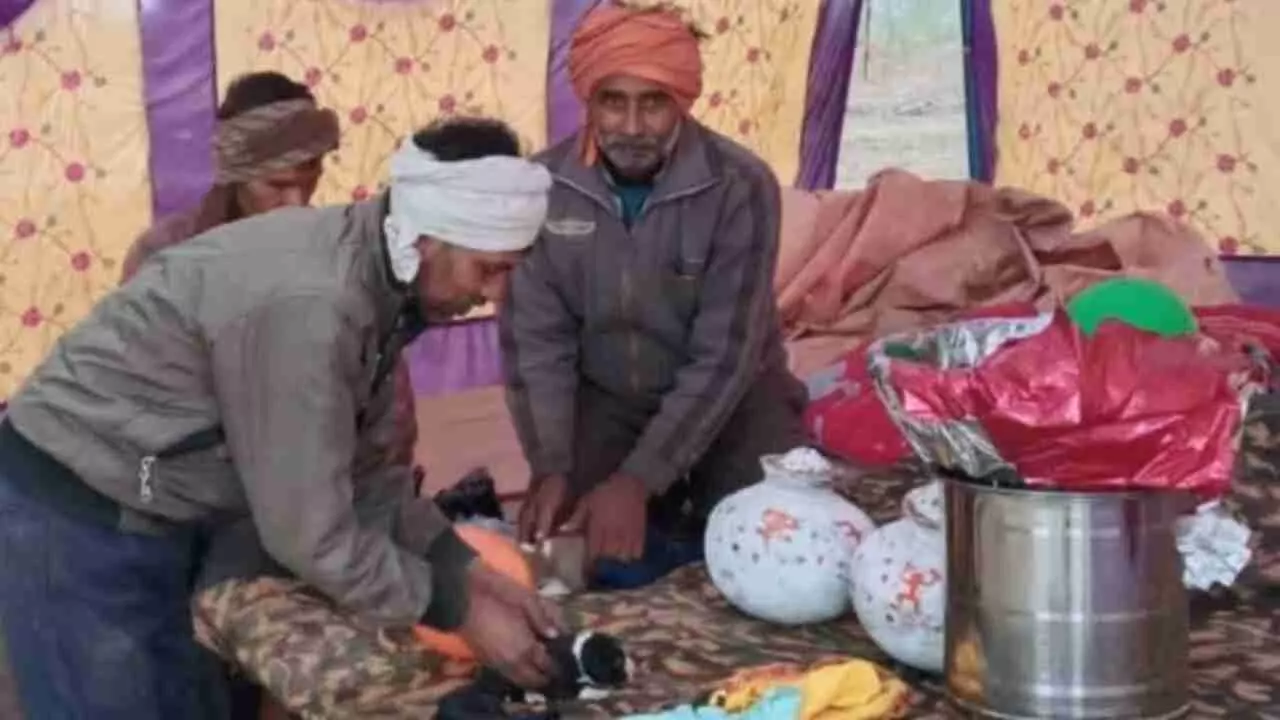 Fatehpur News: फीमेल डॉग के बच्चों की मनायी छठी, पशु प्रेमी ने कायम की मिसाल, लाखों रुपए खर्च कर ग्रामीणों को कराया भोज