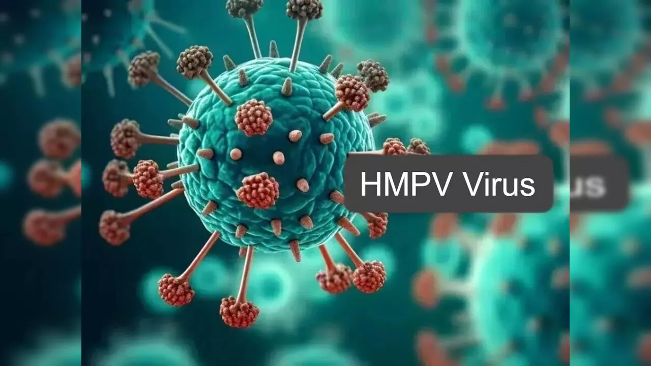 HMPV Virus Cases In India