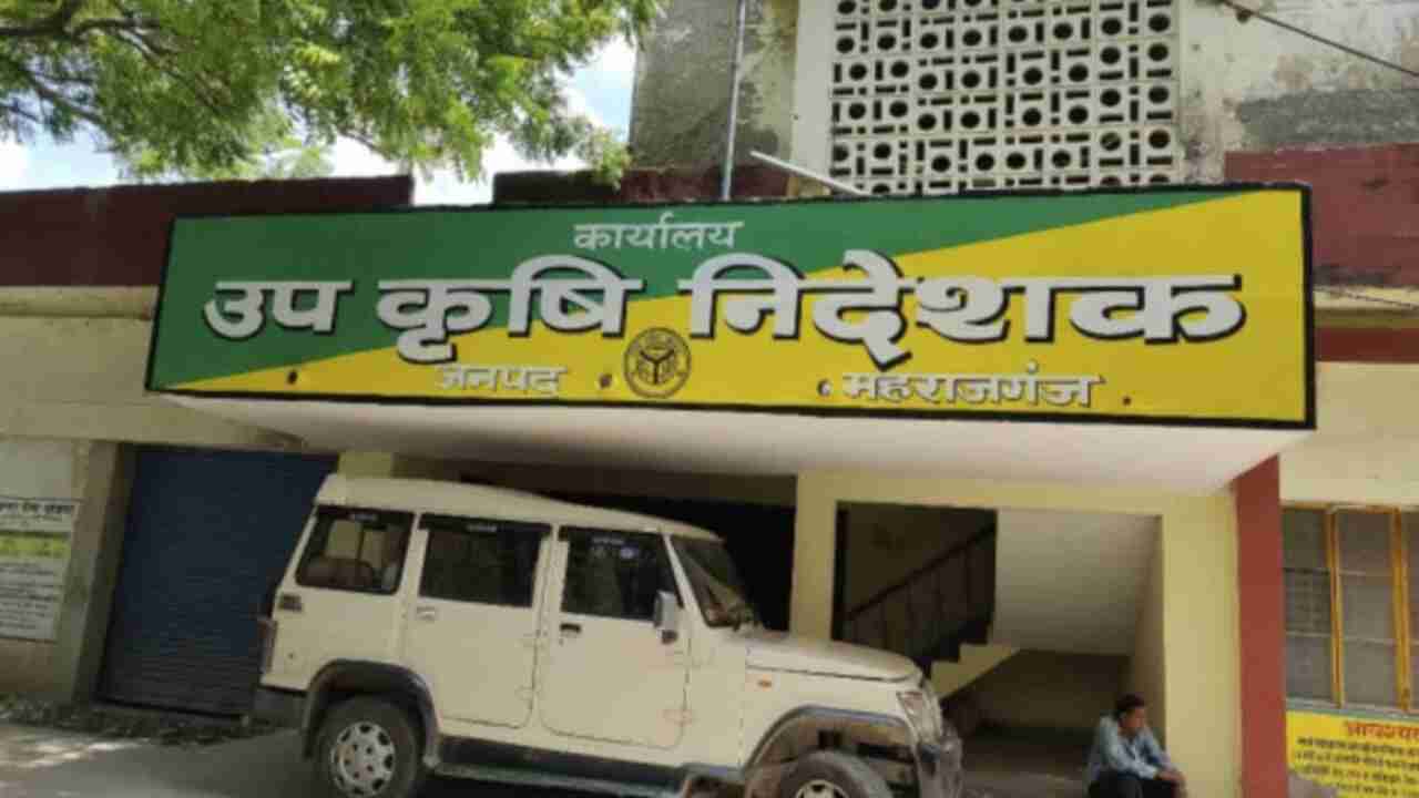 Maharajganj News: महराजगंज में 15 जनवरी तक फसल बीमा करा सकेंगे किसान