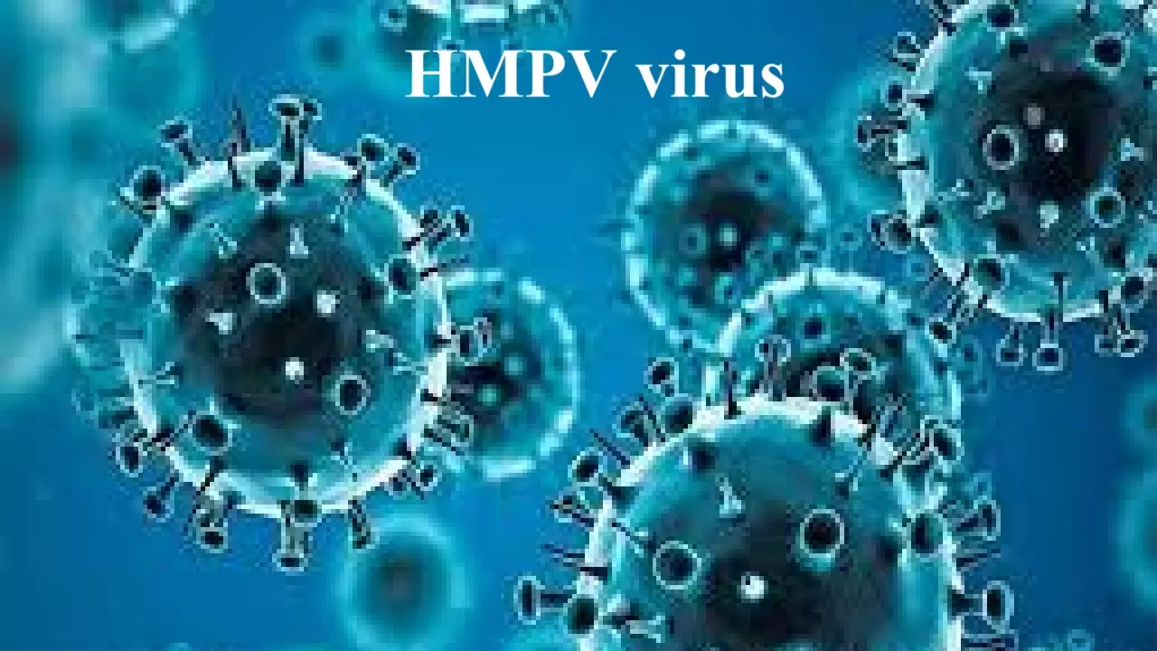 hmpv virus    (social media)