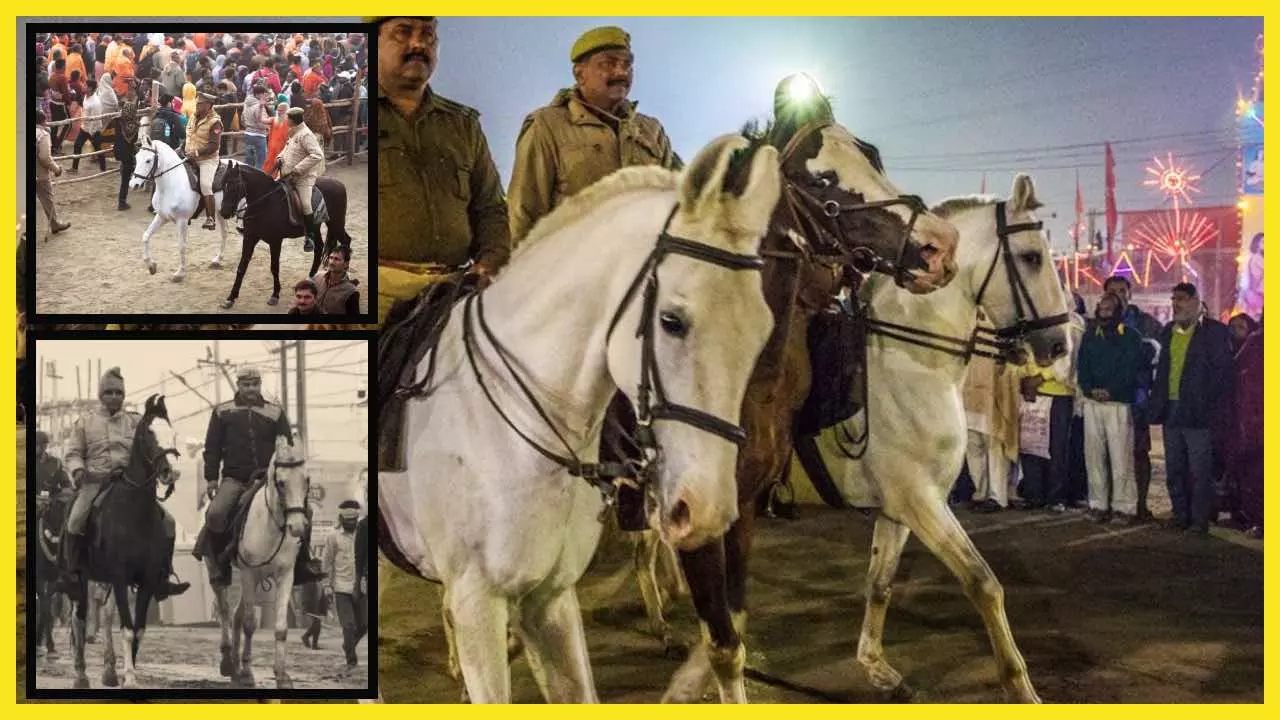 Mahakumbh 2025 High Tech Horses Security