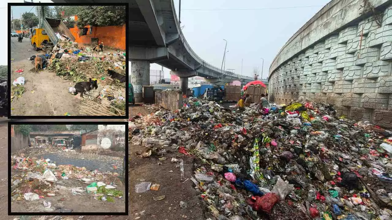 Lucknow Ground Report Nagar Nigam Employees Employees Dumping Garbage on Roadside