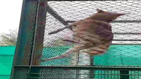 gorakhpur news gorakhpur news