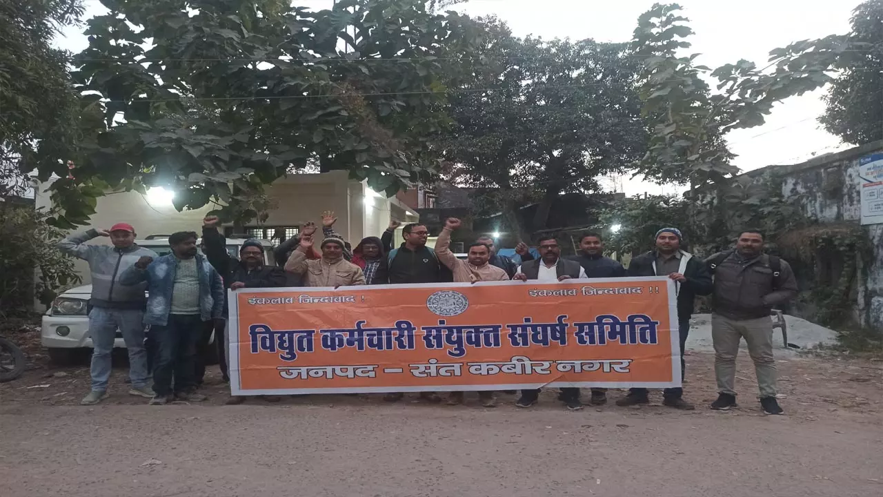 Employees protest against privatization of Sant Birnagar electricity