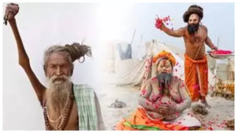 Maha Kumbh news Maha Kumbh news