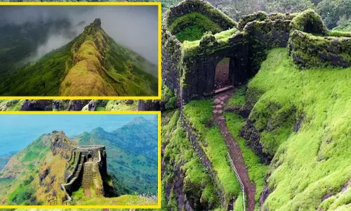Rajgarh Fort History Wikipedia in Hindi