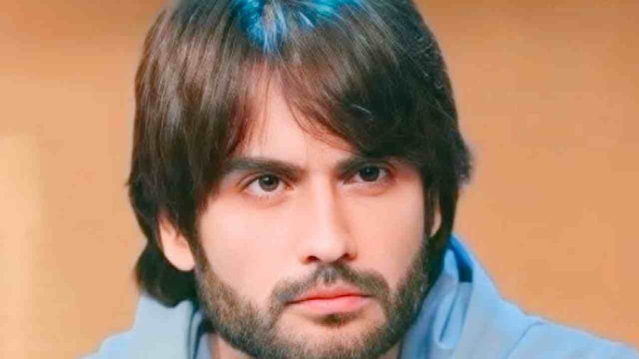 Bigg Boss 18 Vivian Dsena