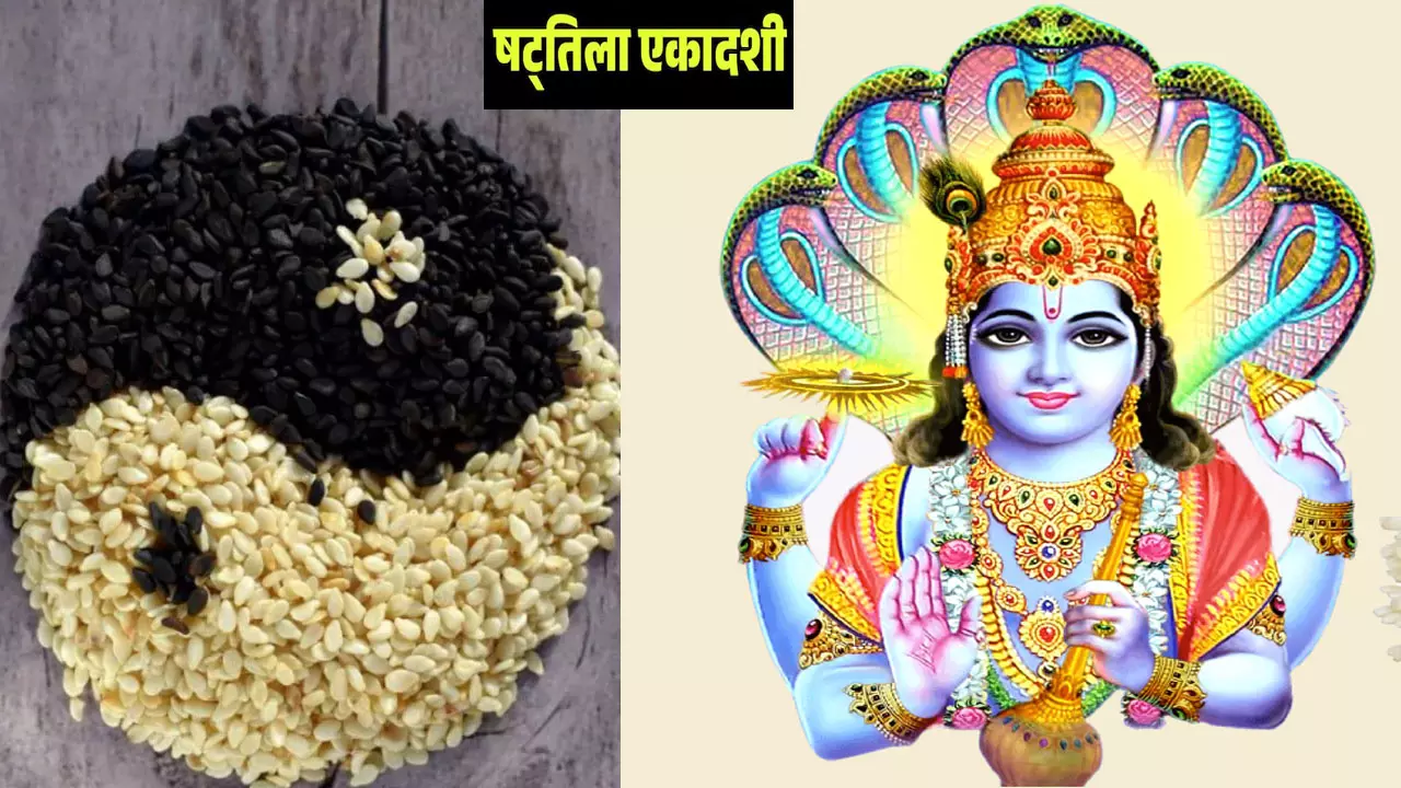 Shattila Ekadashi 2025 Date:षटतिला एकादशी का व्रत कब है, जानिए इस व्रत के नियम और शुभ मुहूर्त