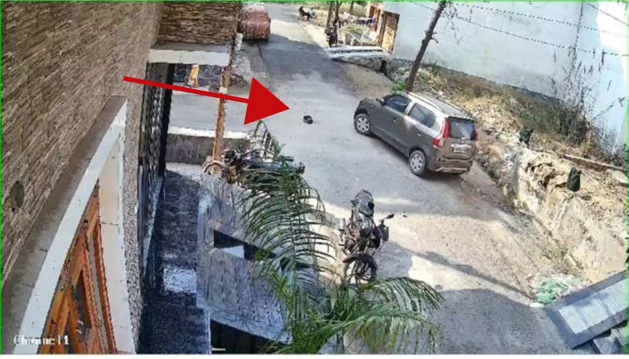 Bulandshahr News Today Video Viral Retired Policeman Running Car Over Dog in Kotwali Village Ganganagar