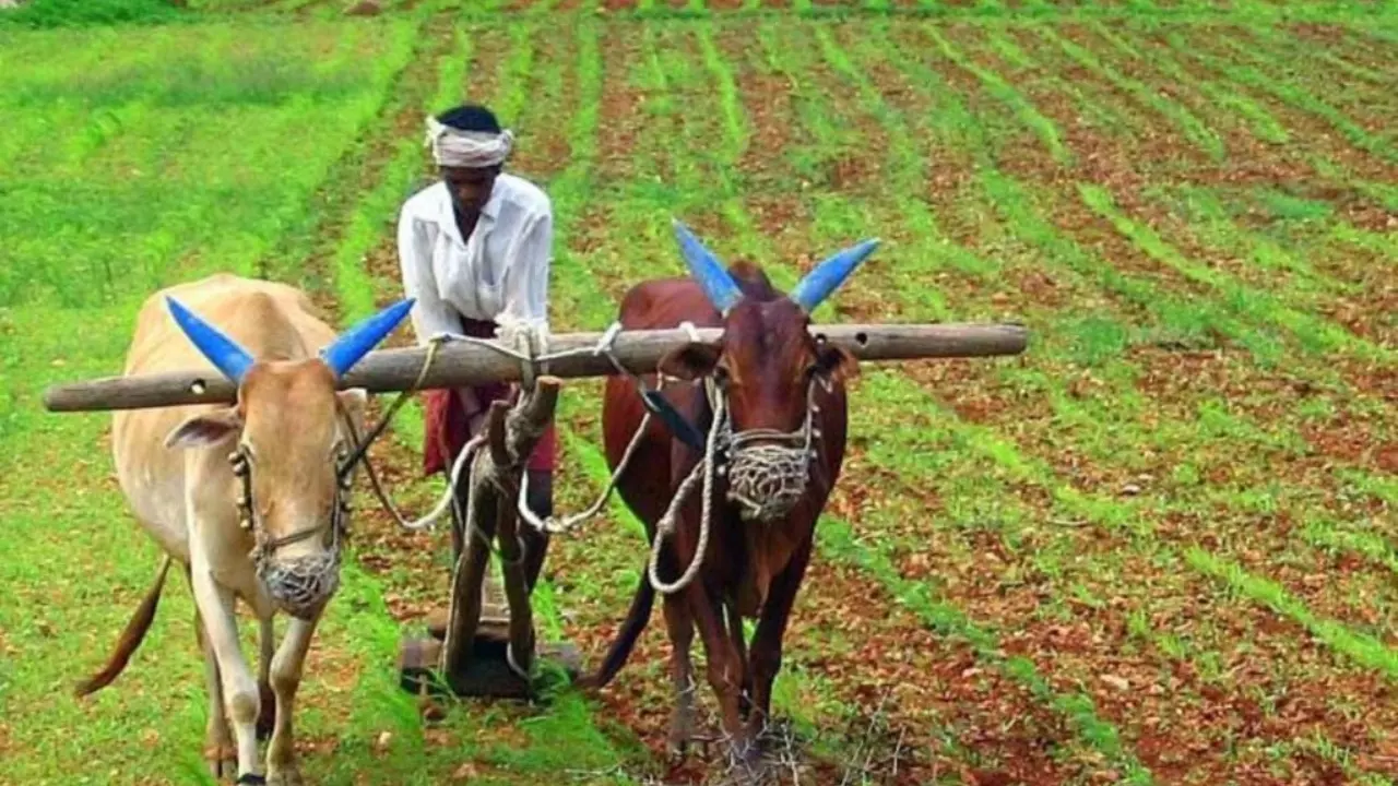 Land Reforms Reflections on Global Perspective History and Present