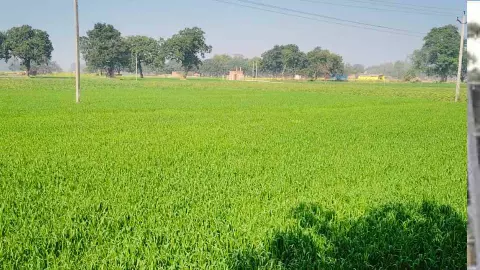 Kaushambi News (Social Media)