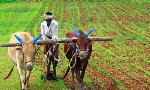 Land Reforms Reflections on Global Perspective History and Present