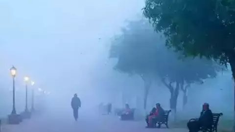 Aaj Ka Mausam 24 January: बारिश के साथ घने कोहरे की चेतावनी जारी, जानें जिलों में कैसा रहेगा मौसम का हाल Aaj Ka Mausam 24 January: बारिश के साथ घने कोहरे की चेतावनी जारी, जानें जिलों में कैसा रहेगा मौसम का हाल