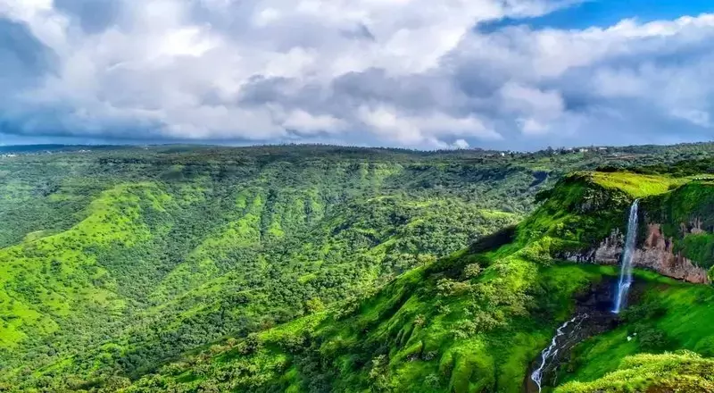 (फोटो साभार- सोशल मीडिया)