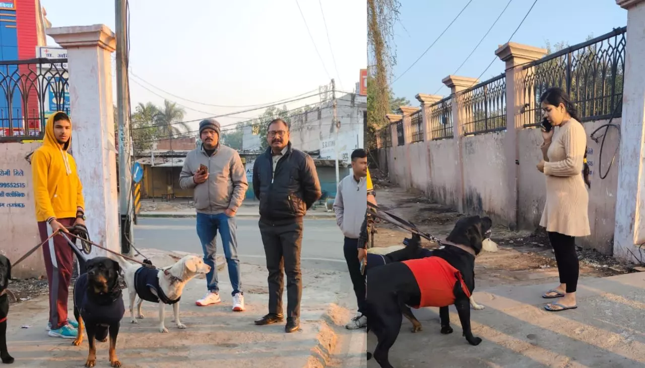 license of pet dogs in Lucknow