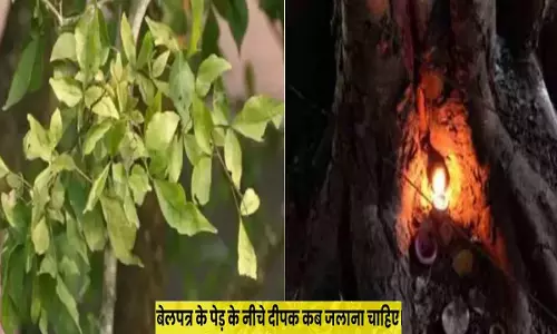 Bel Patra Benefits in Hindi : इस पेड़ के जड़ में दीपक जलाने से खुलती है किस्मत, जानिए कब कैसे किस मंत्र से करें दीपदान