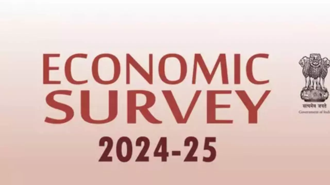 Budget Economic Survey 2025