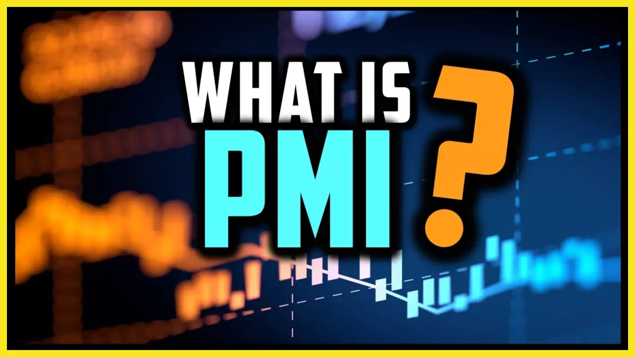 Definition Of PMI