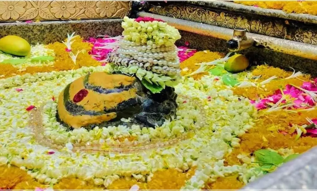 (फोटो साभार- सोशल मीडिया)